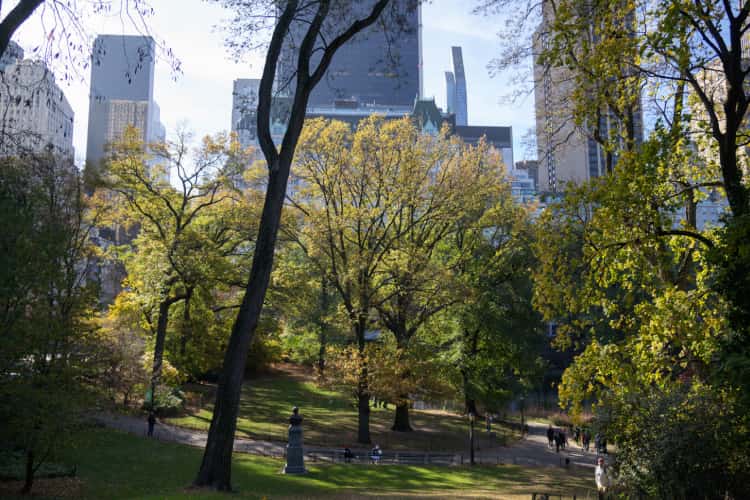 Central Park